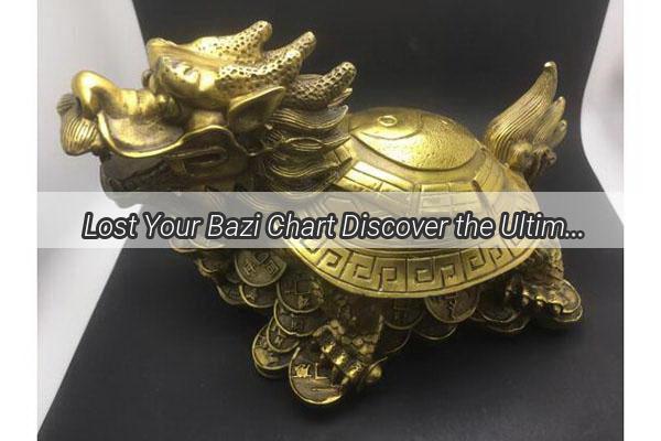  Lost Your Bazi Chart Discover the Ultimate Guide to Retrieving Your Destinys Blueprint